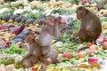 Khám phá buffet kì dị ở Thái Lan