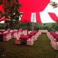 Tiệc cưới tại Lương Sơn Hòa Bình 2